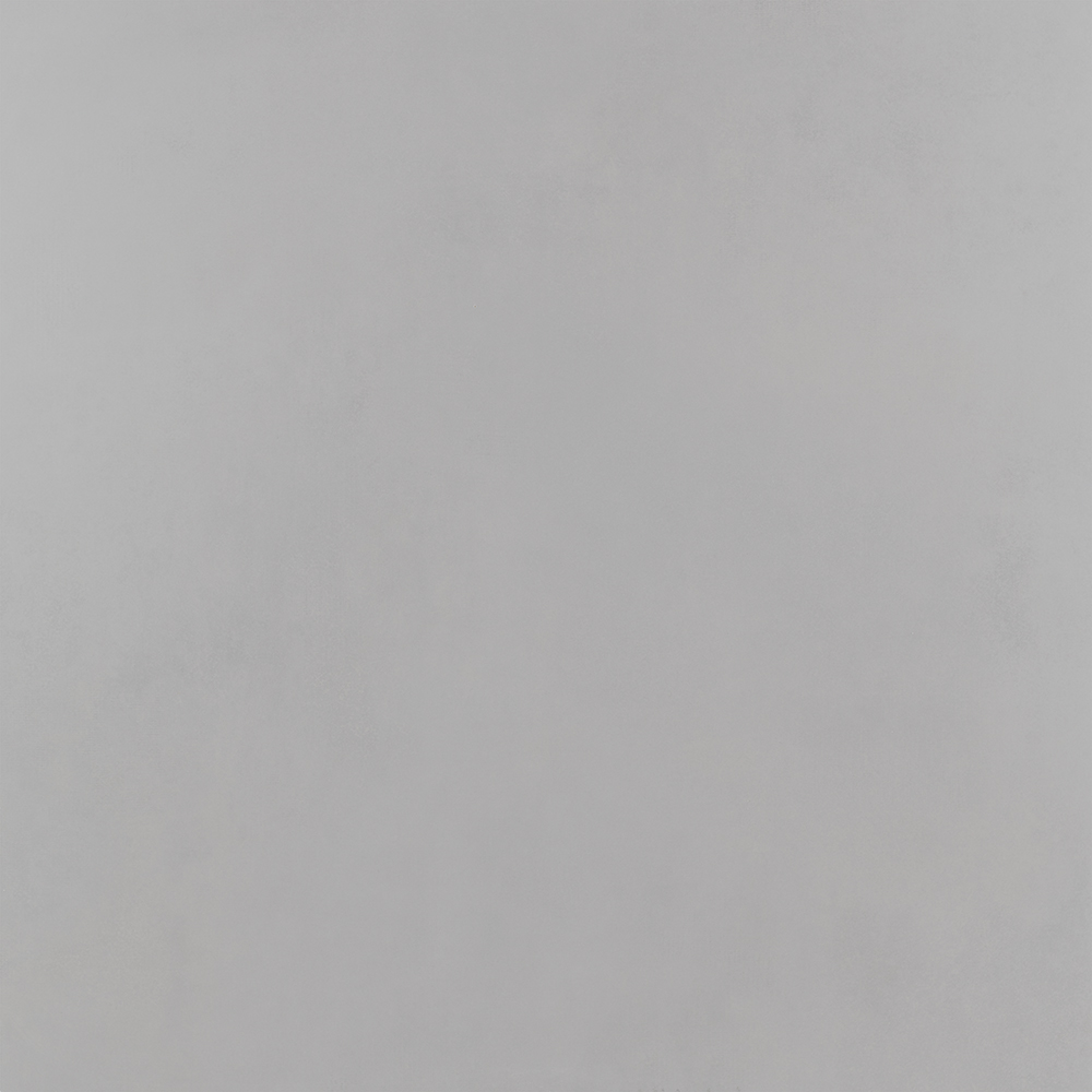 M2 Porc.Incepa PP Pro Cement AC 61X61 A (2.23M2X6U)